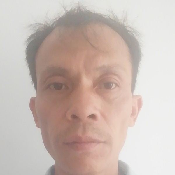 诚心相许小海豚的照片