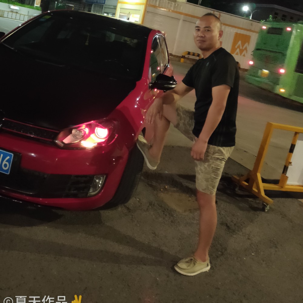 向日葵专注的照片
