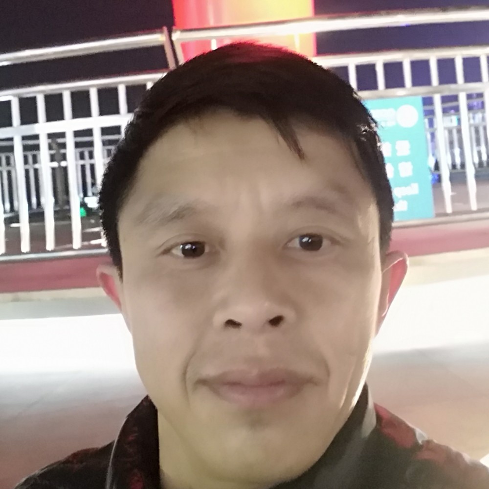 完美拾忆灰狼的照片