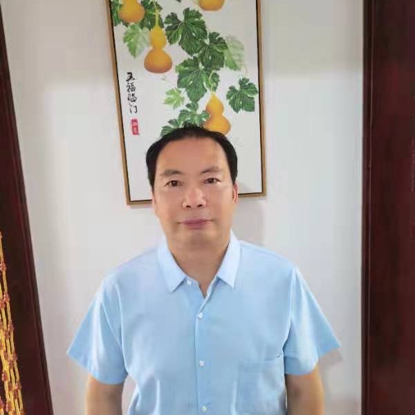 清晨阳光的照片
