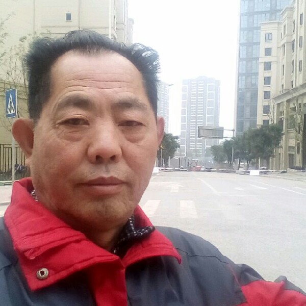 无聊的山猴的照片