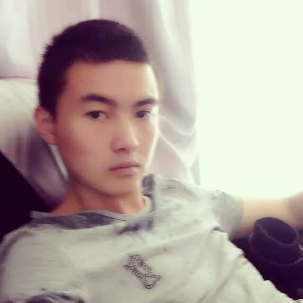 快乐单身犬的照片