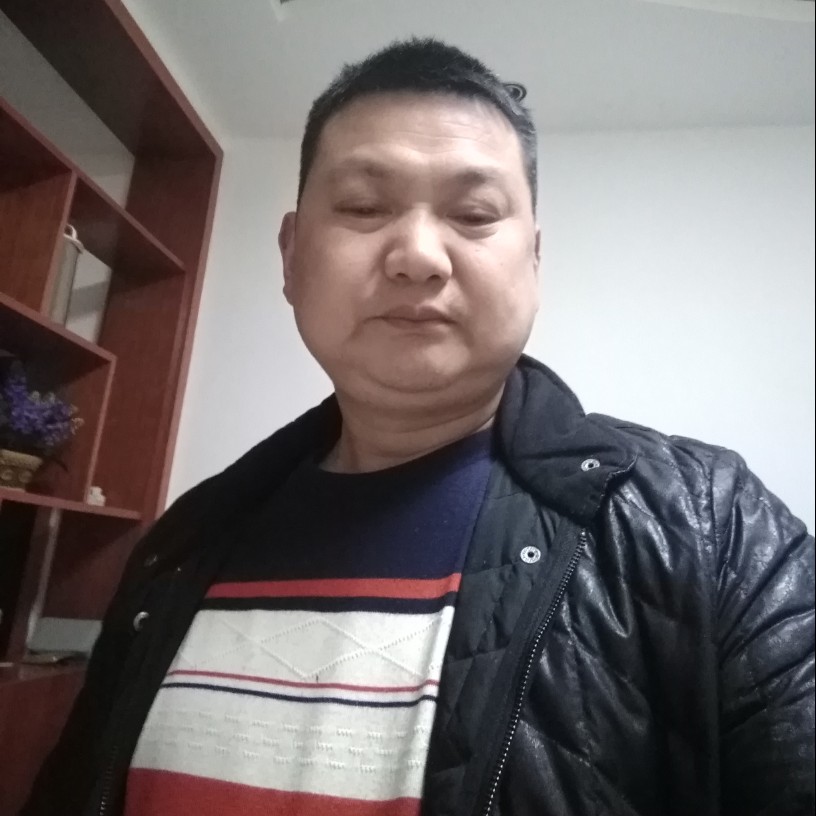 老虎鲤鱼的照片