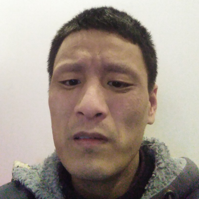 迷路金毛的照片