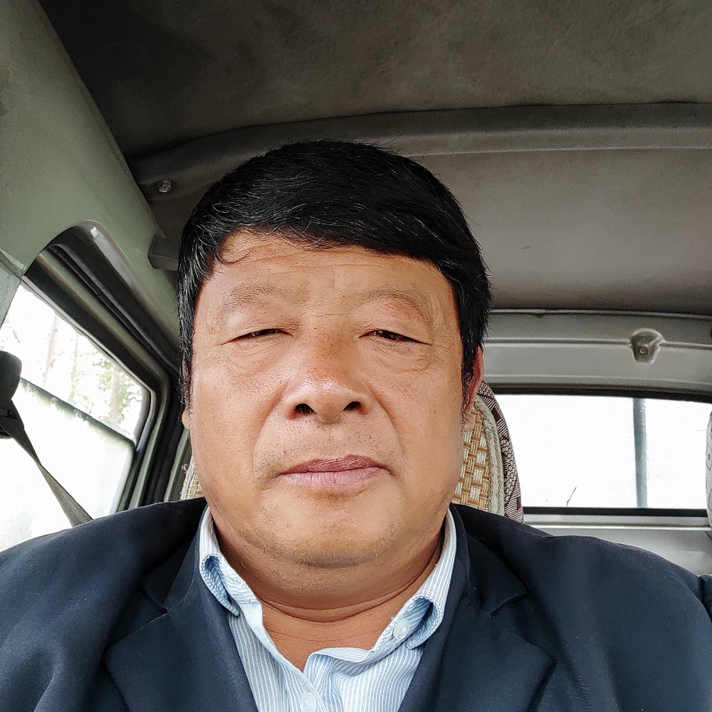 聪慧给灰狼的照片