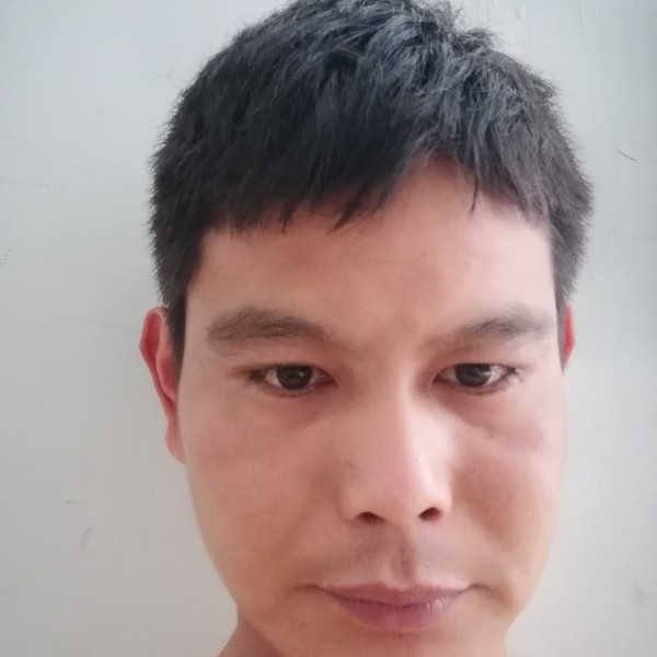 网络迎合适的照片