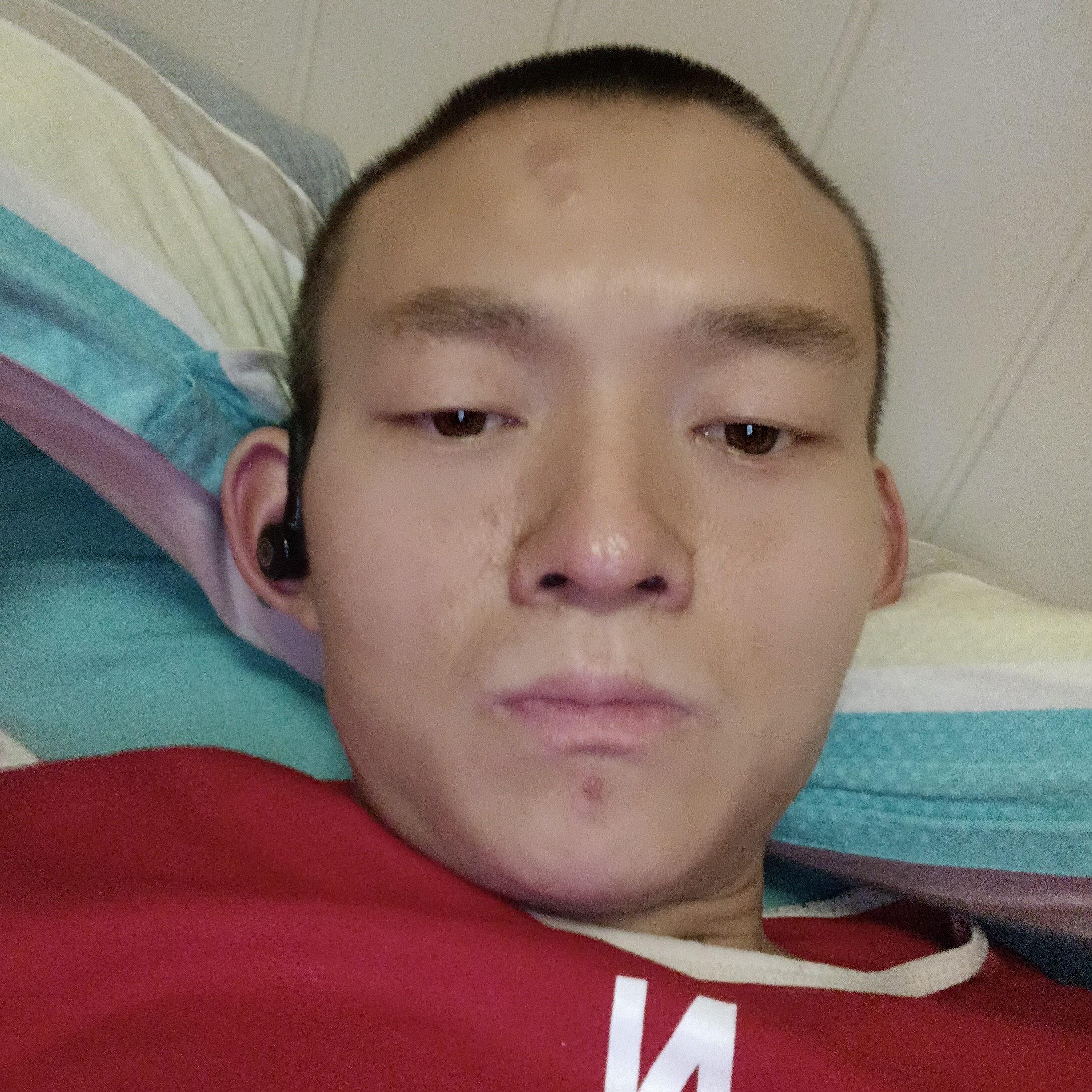 彼年保卫仙人掌的照片