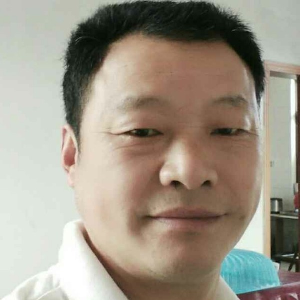 神勇的蚂蚁的照片