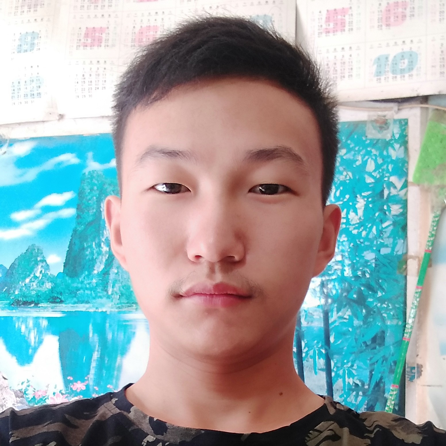 顺心给尊云的照片