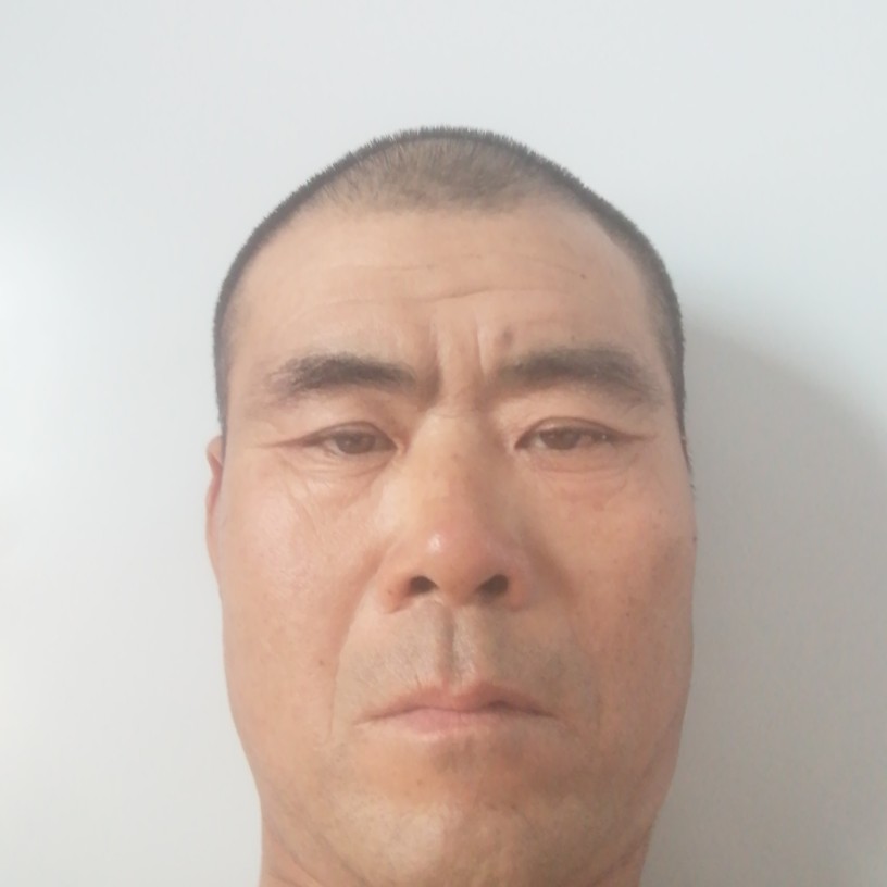 风中漫步晨阳的照片