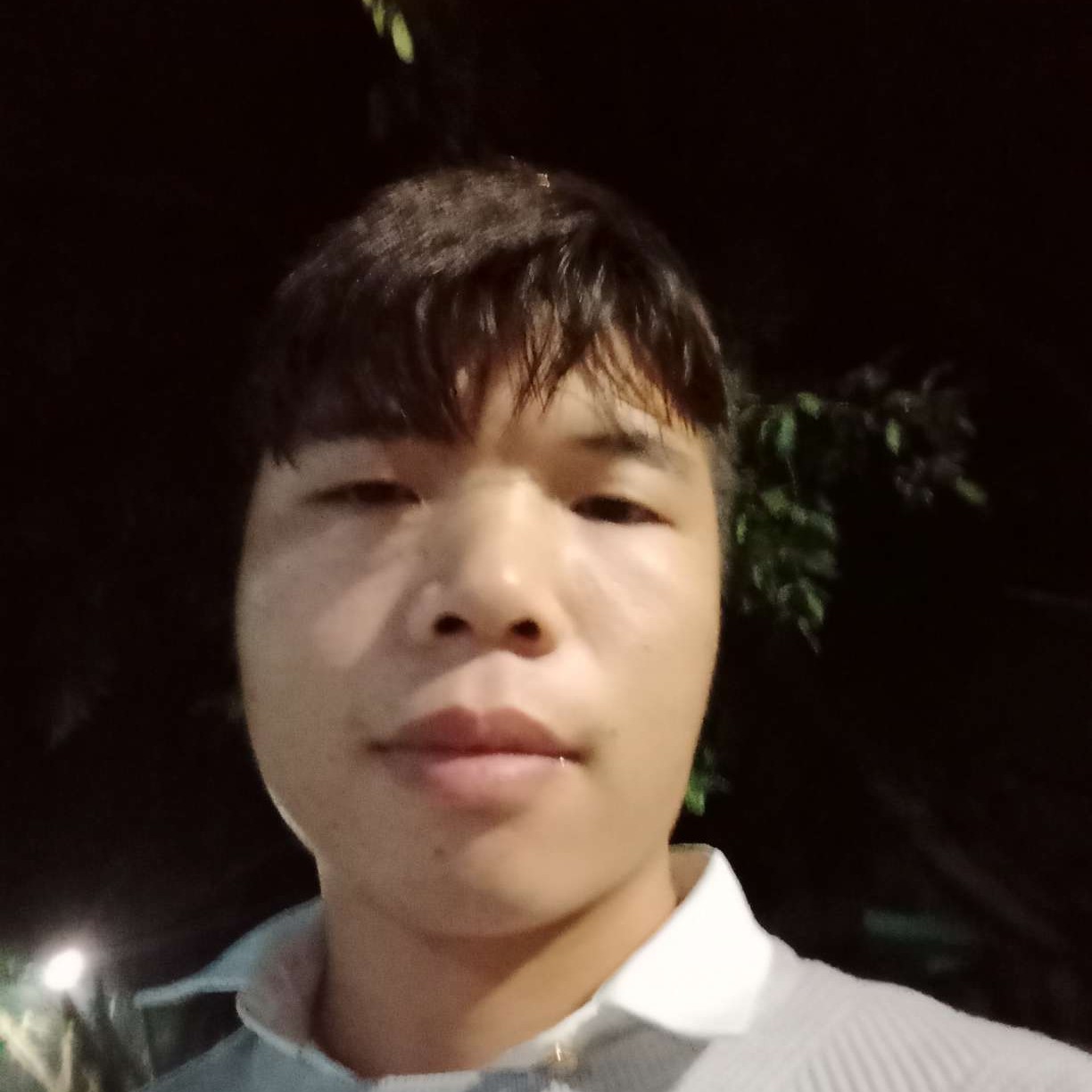 复杂回眸蛋挞的照片