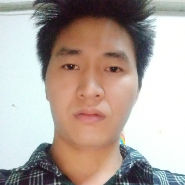 π_π蜉蝣的照片