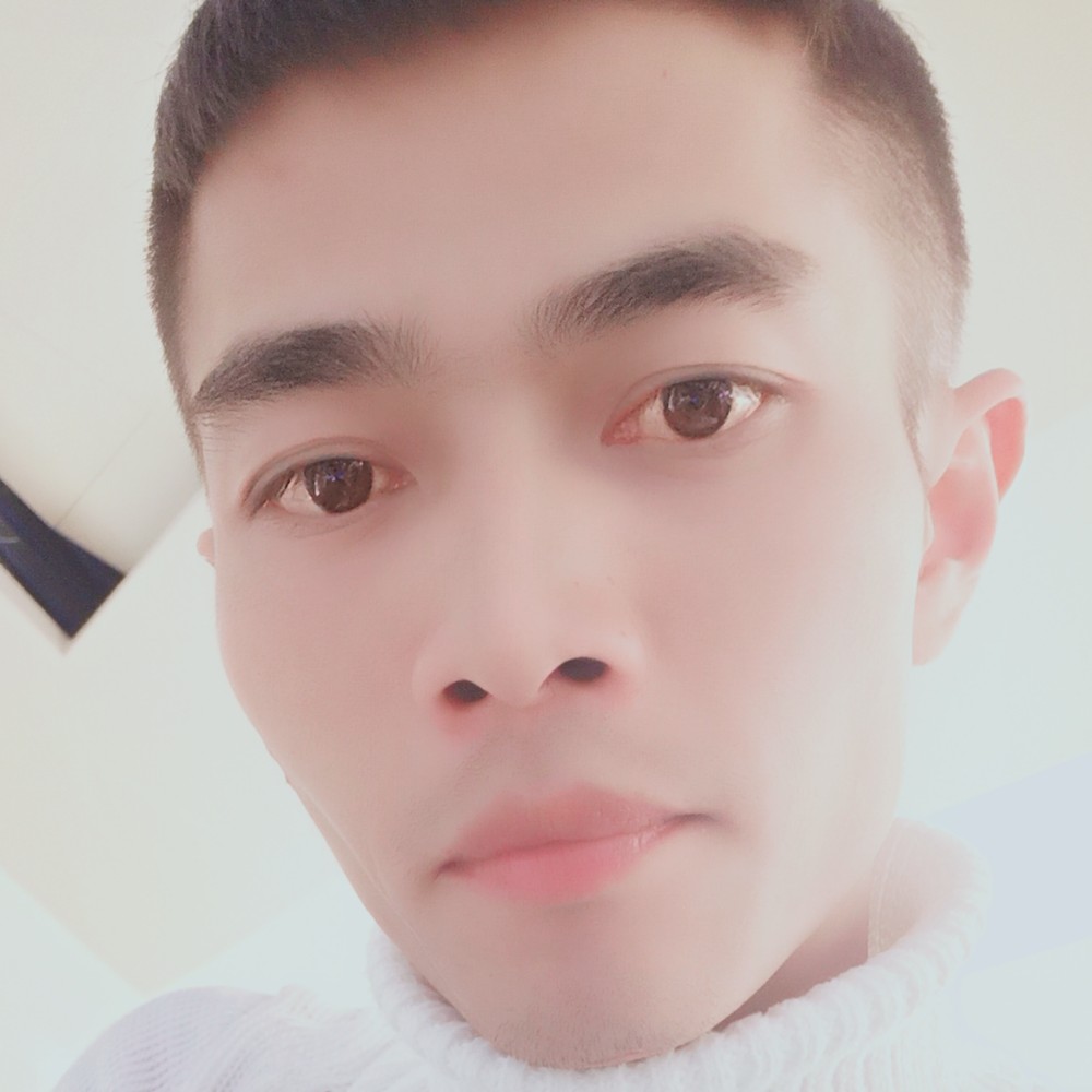 斯文回首汉堡的照片