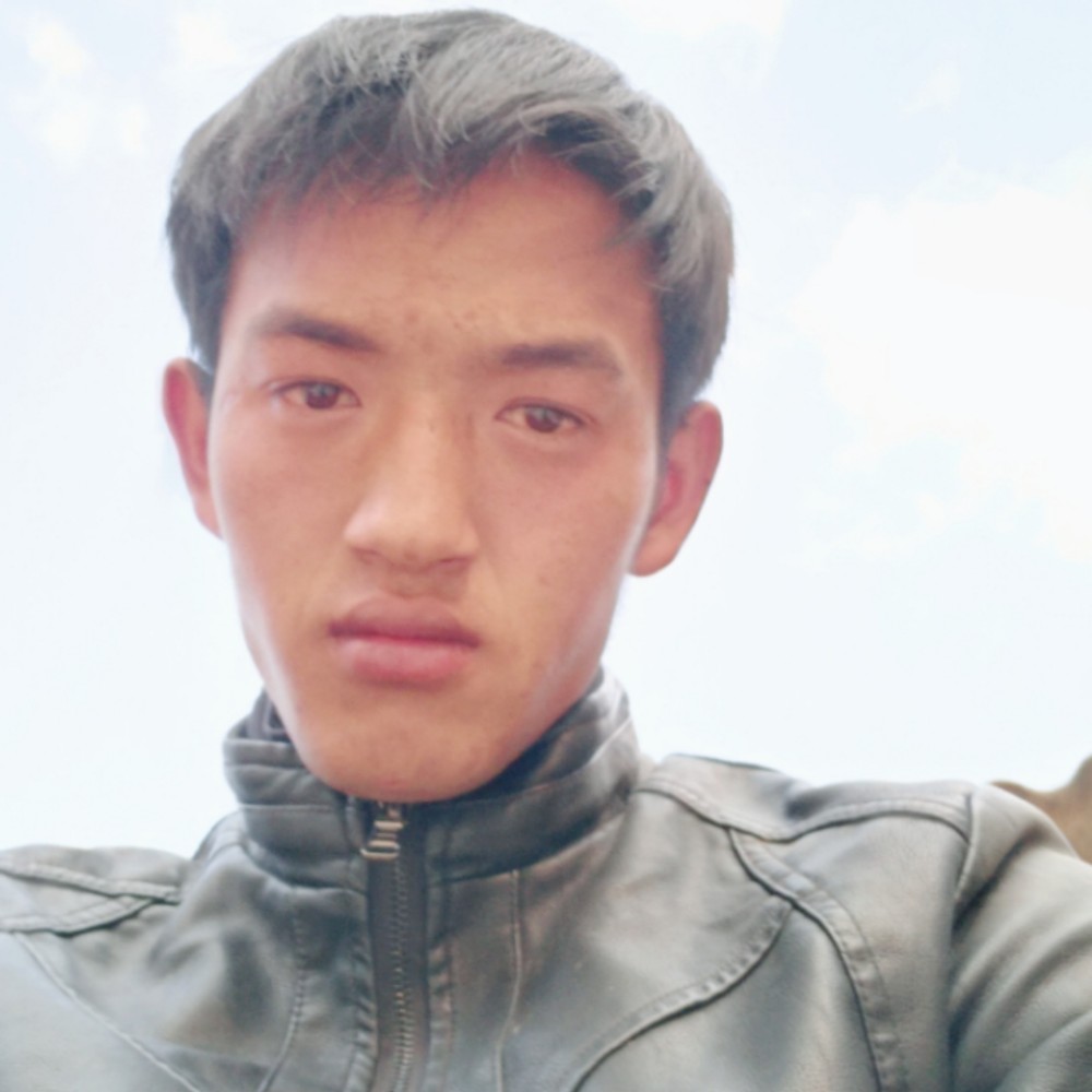 大意纸鹤的照片