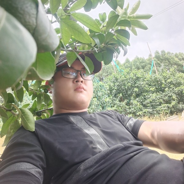 灰狼着急的照片