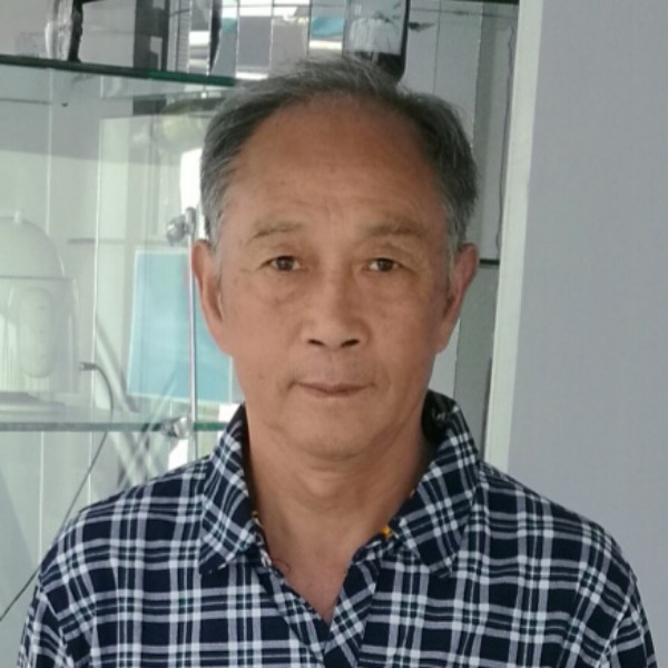 高贵小海豚的照片