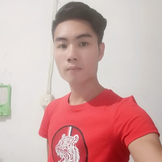 晨风的记忆的照片