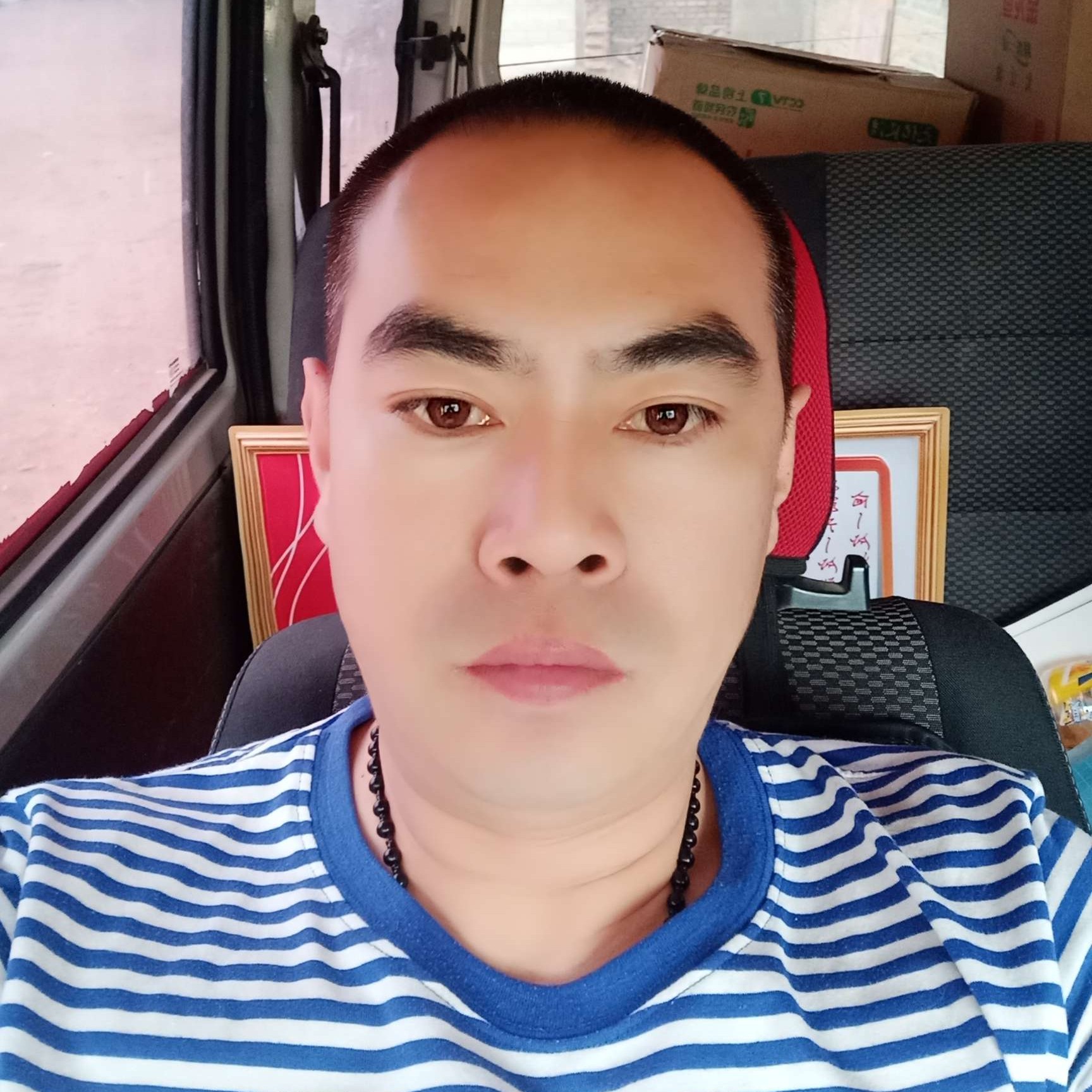 灰狼就无聊的照片