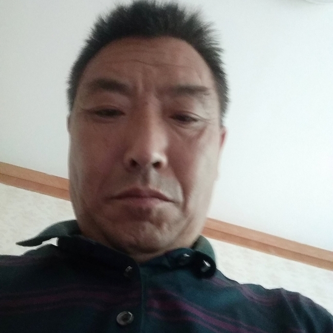 小刺猬回首单纯的照片