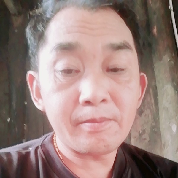 细心的橘子的照片