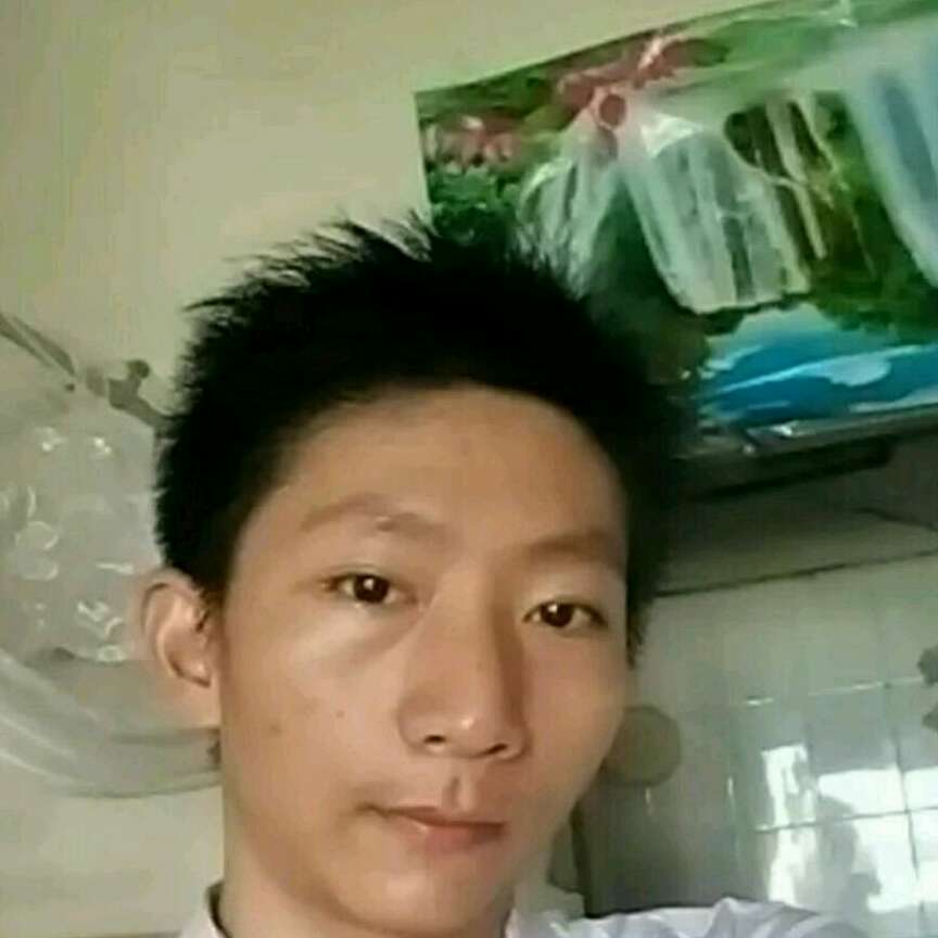 摇曳风的照片