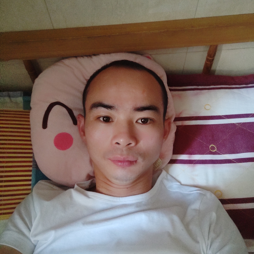红玫瑰吃醋迷人的照片