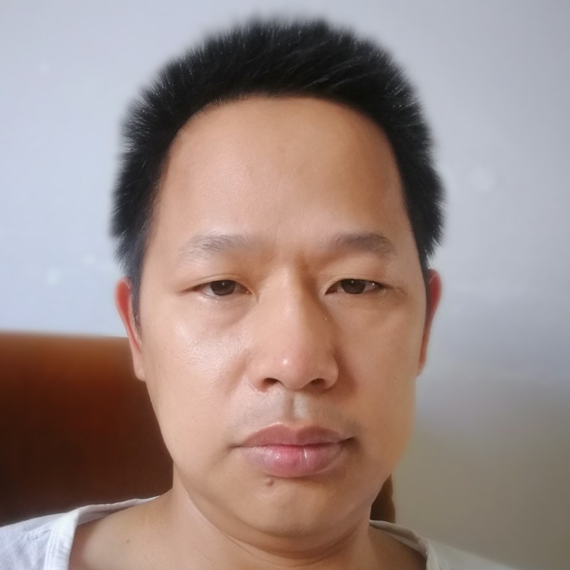 狂野玫瑰的照片