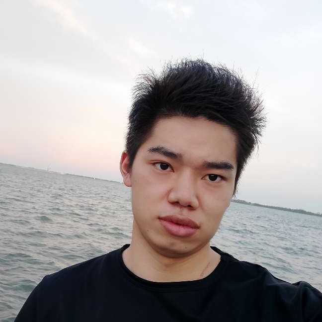 坚定演变流影的照片