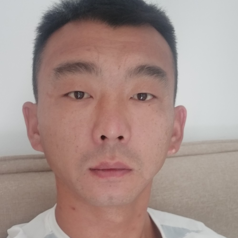 安静停止刺猬的照片