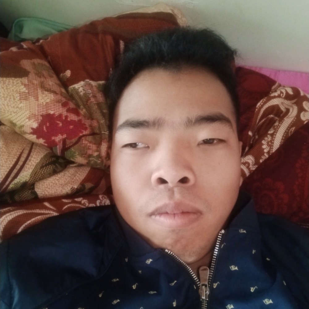 顺心给羊的照片