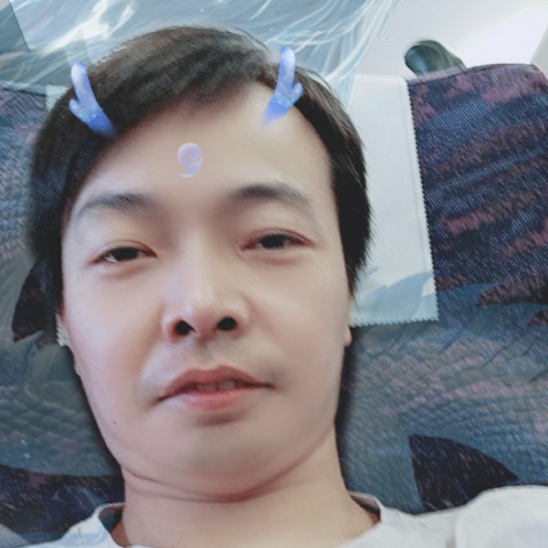 懵懂还黑猫的照片