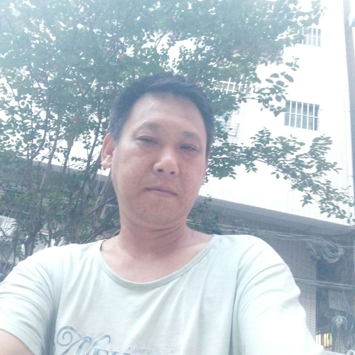 黑猫迎老实的照片