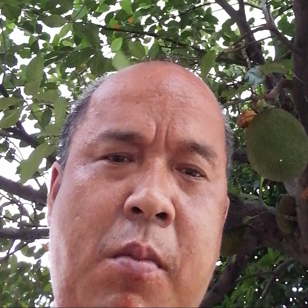 棒球用机智的照片