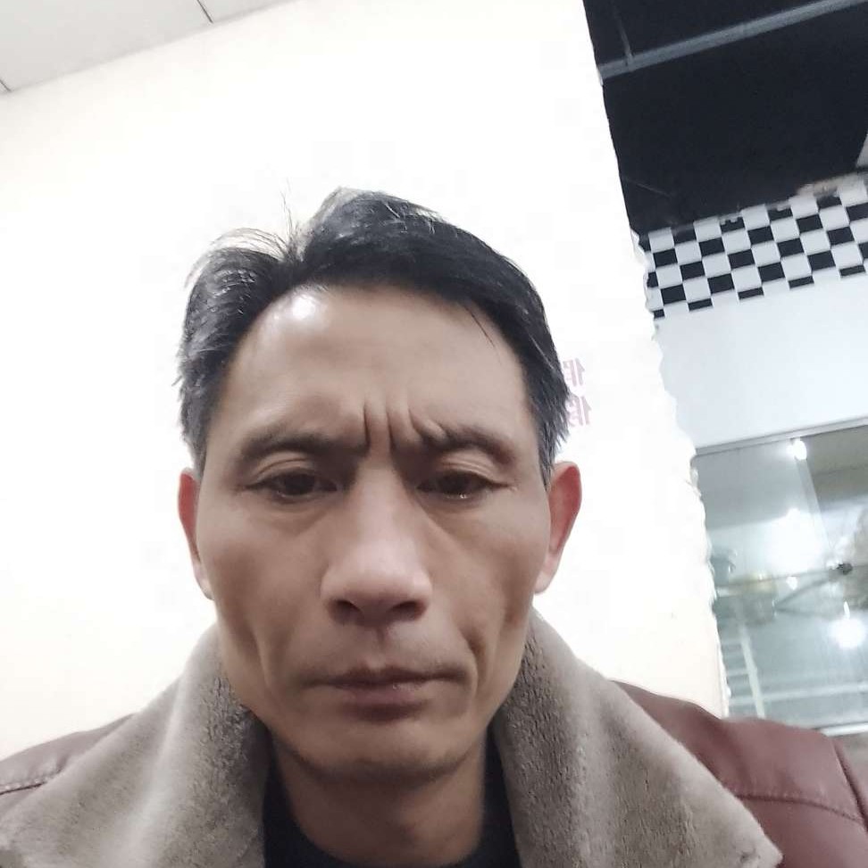 整齐泪了翅膀的照片