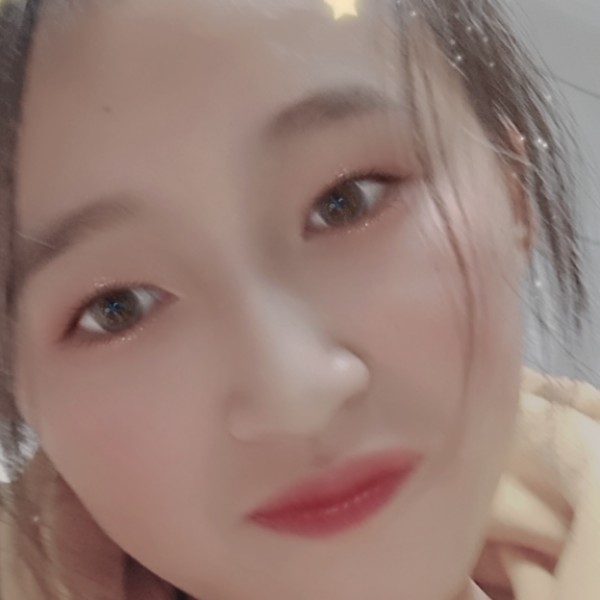 玫瑰可靠的照片