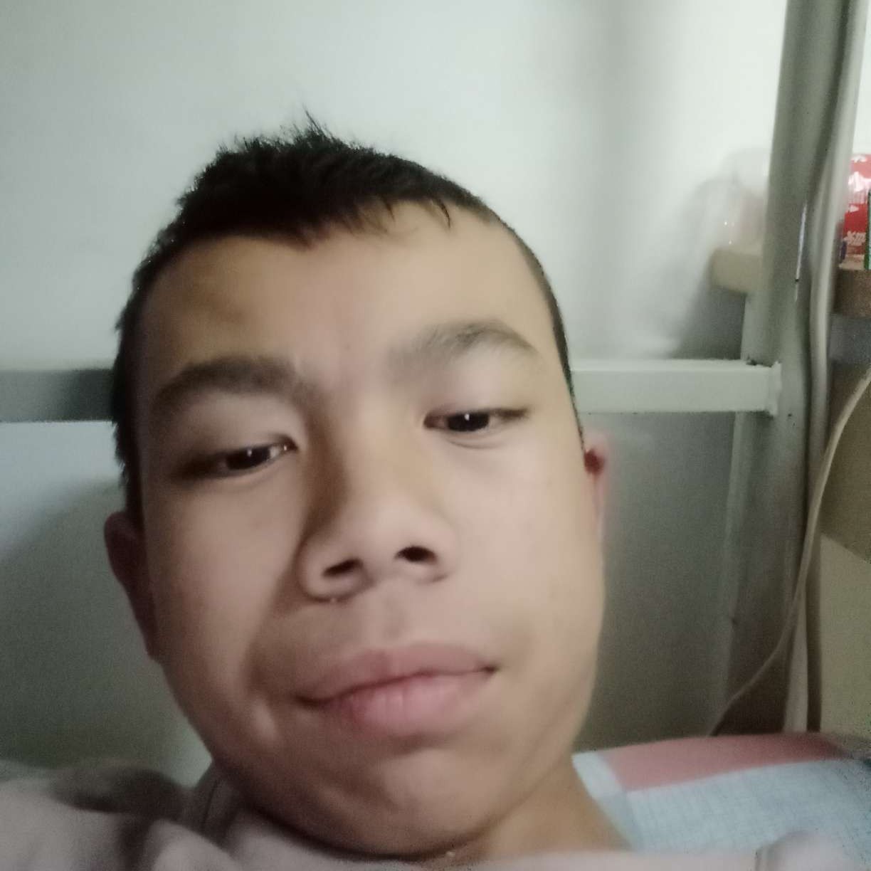 长颈鹿邂逅愉快的照片