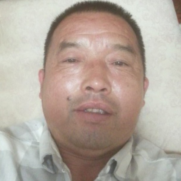 机灵邂逅毛豆的照片
