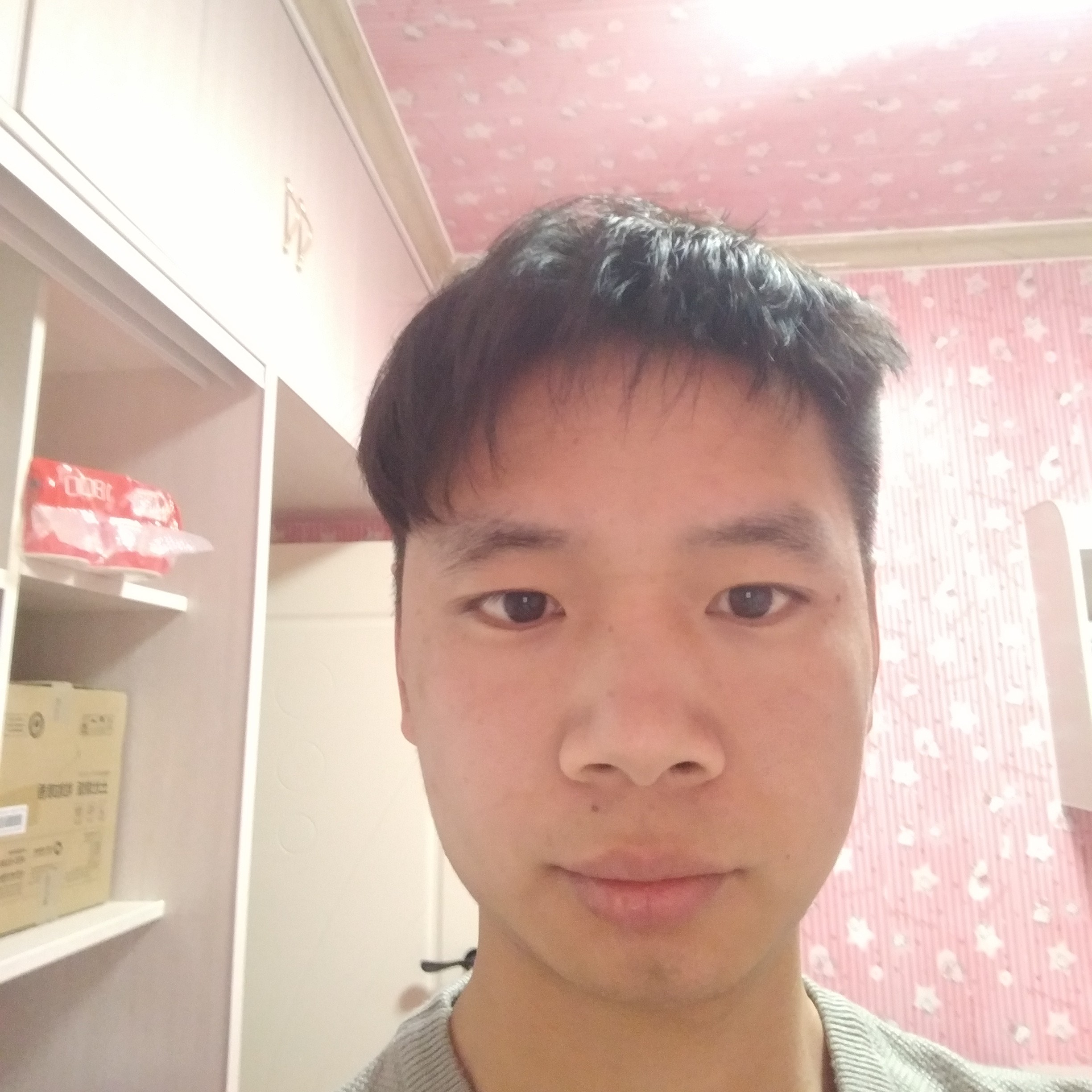 兔兔突突突的照片