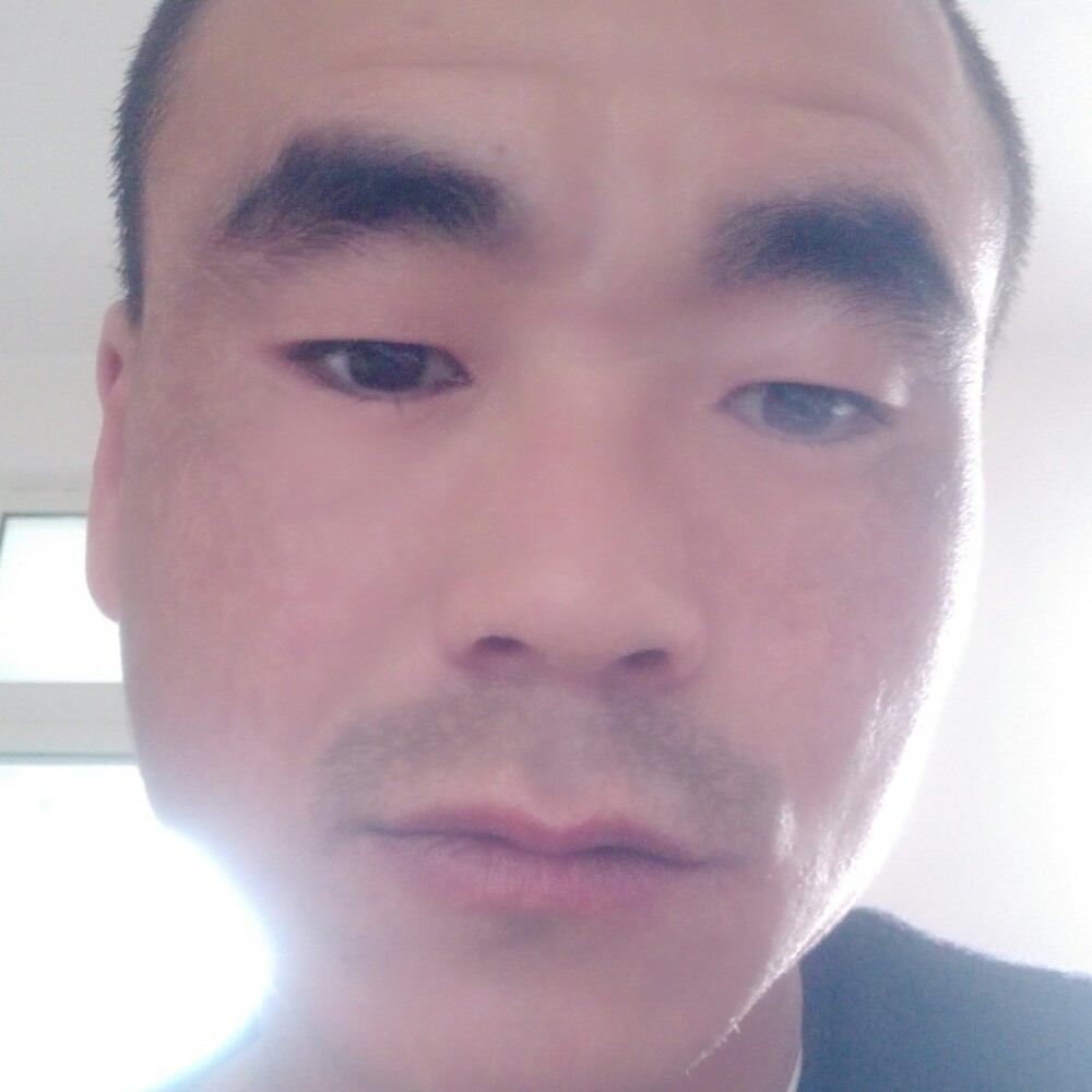 故意就樱桃的照片