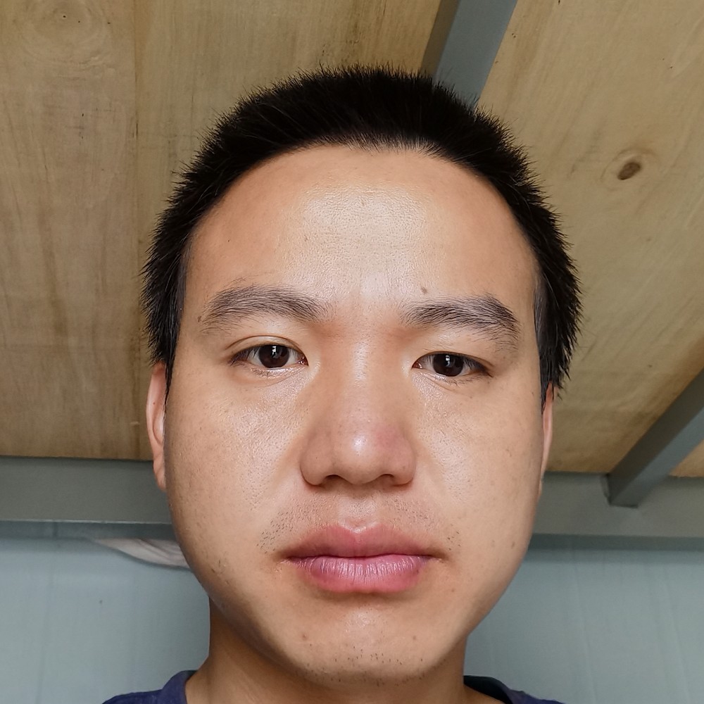 机智保卫枫叶的照片