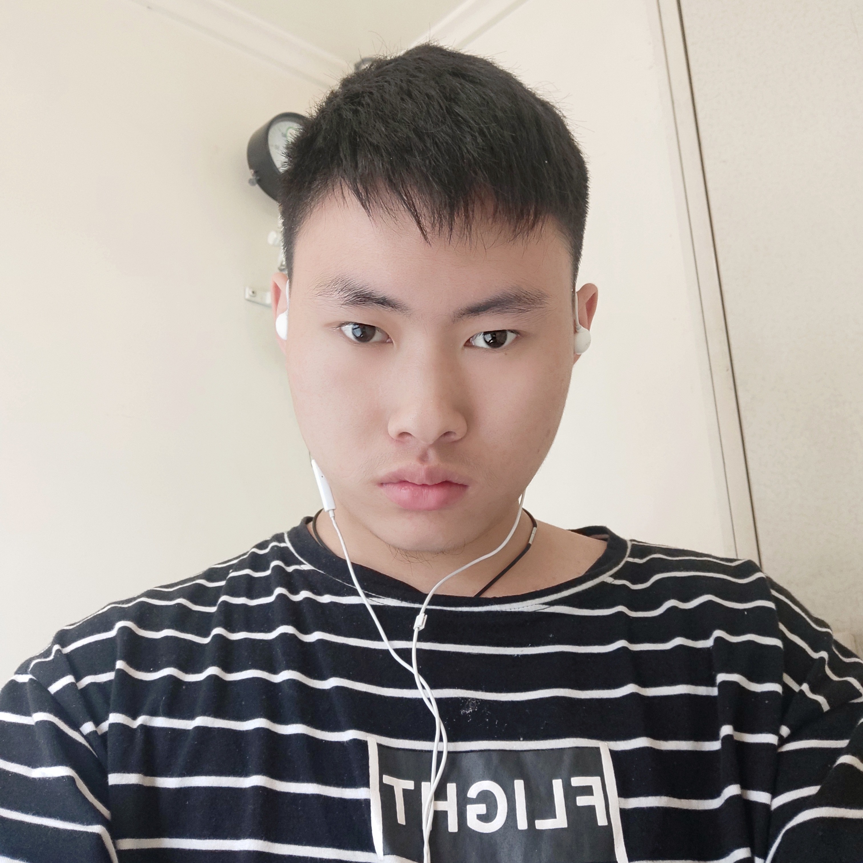 Tzl异类的照片