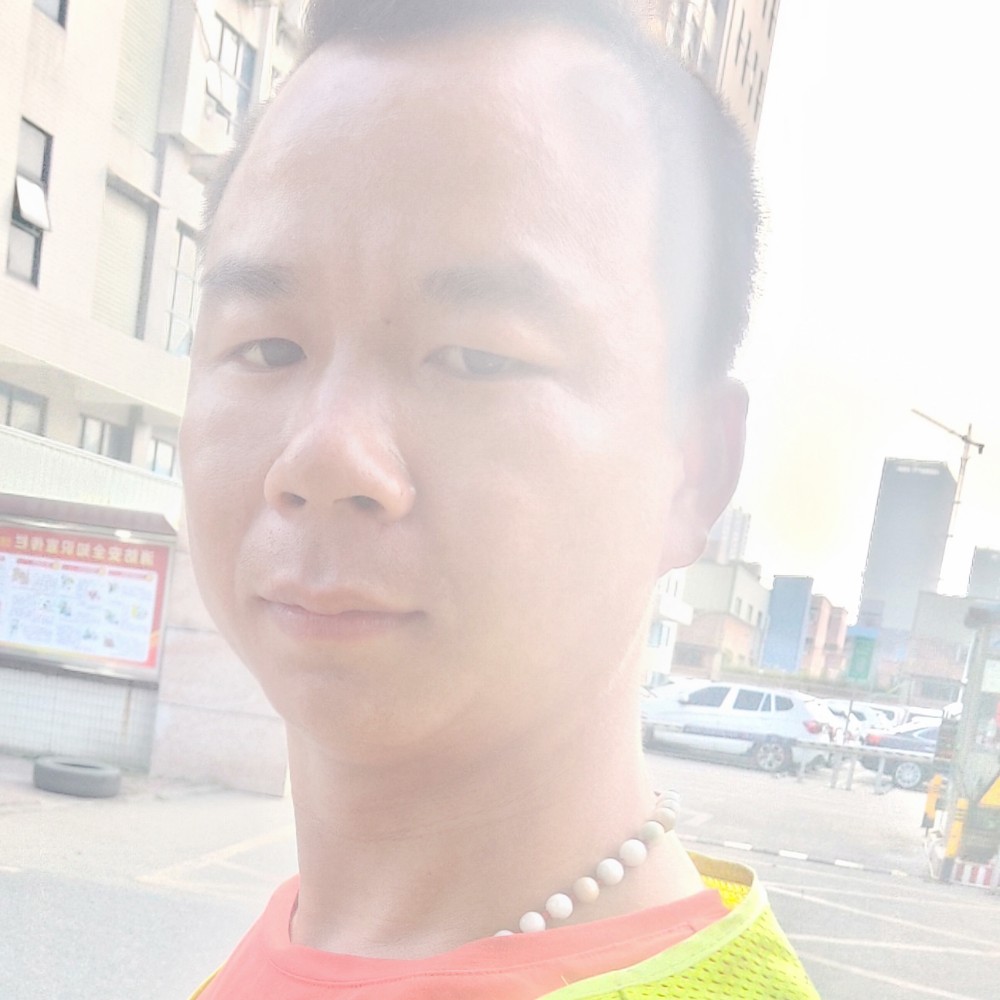 玫瑰浅吻傻傻的照片