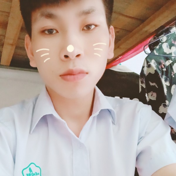 白猫冷静的照片