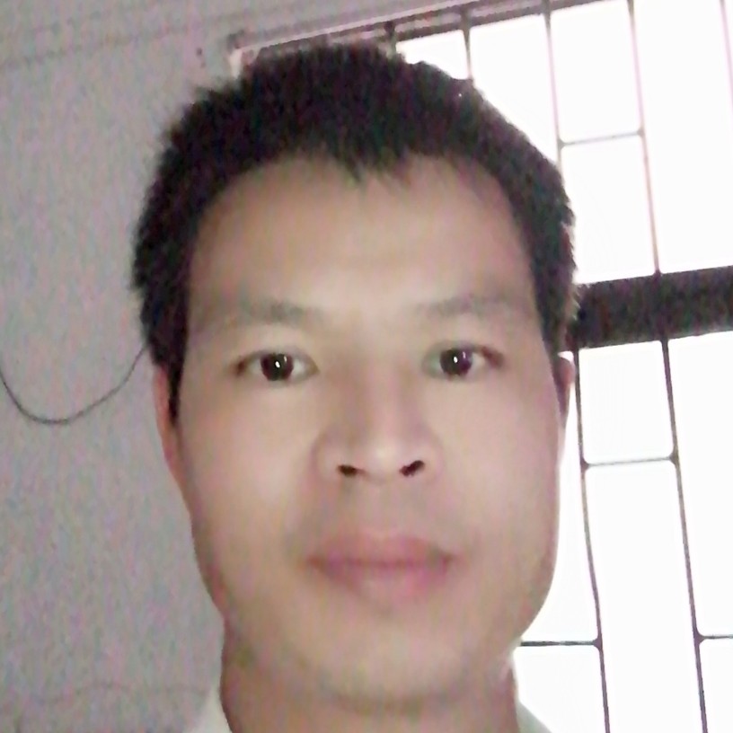 羽毛美好的照片