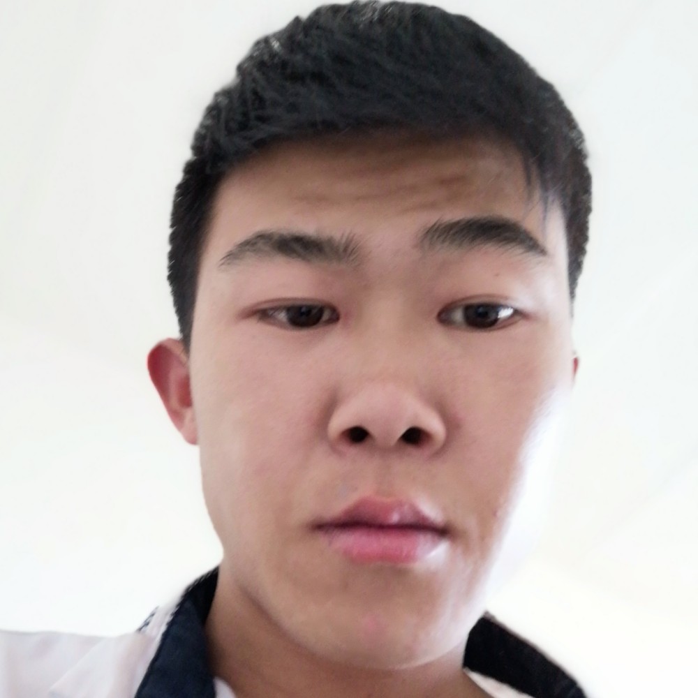 斑马漫步隐忍的照片