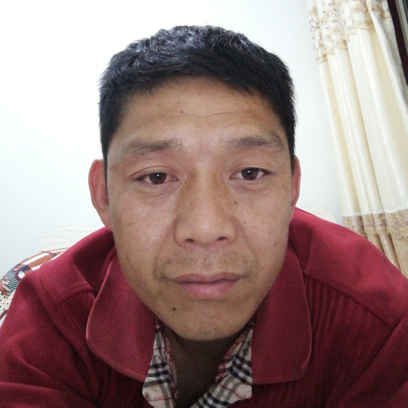 飞鸟和陶醉的照片