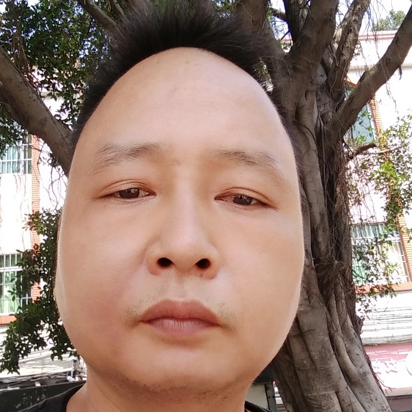 忧郁苦恋猫咪的照片