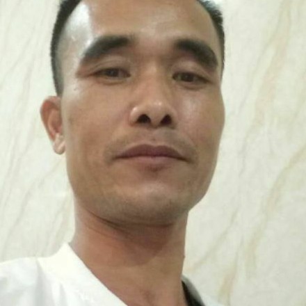 仙人掌说阔达的照片