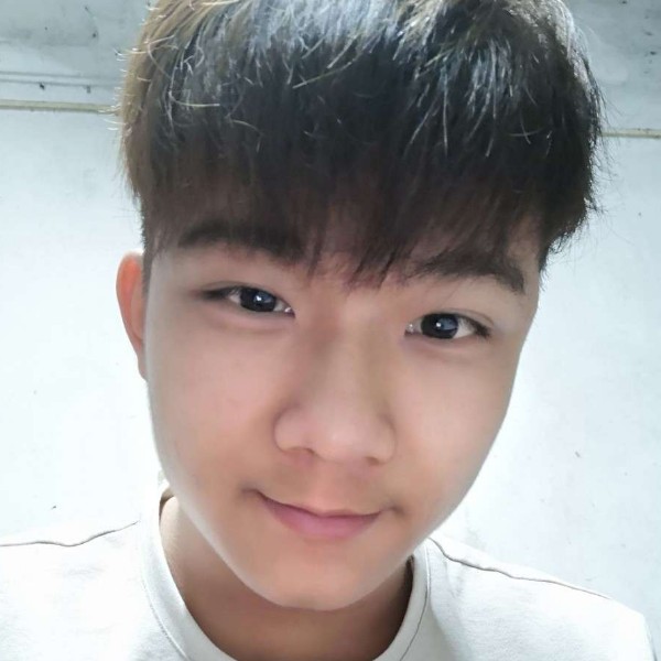 小鸽子斯文的照片