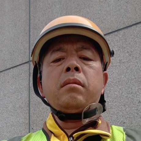 殷勤大雁的照片